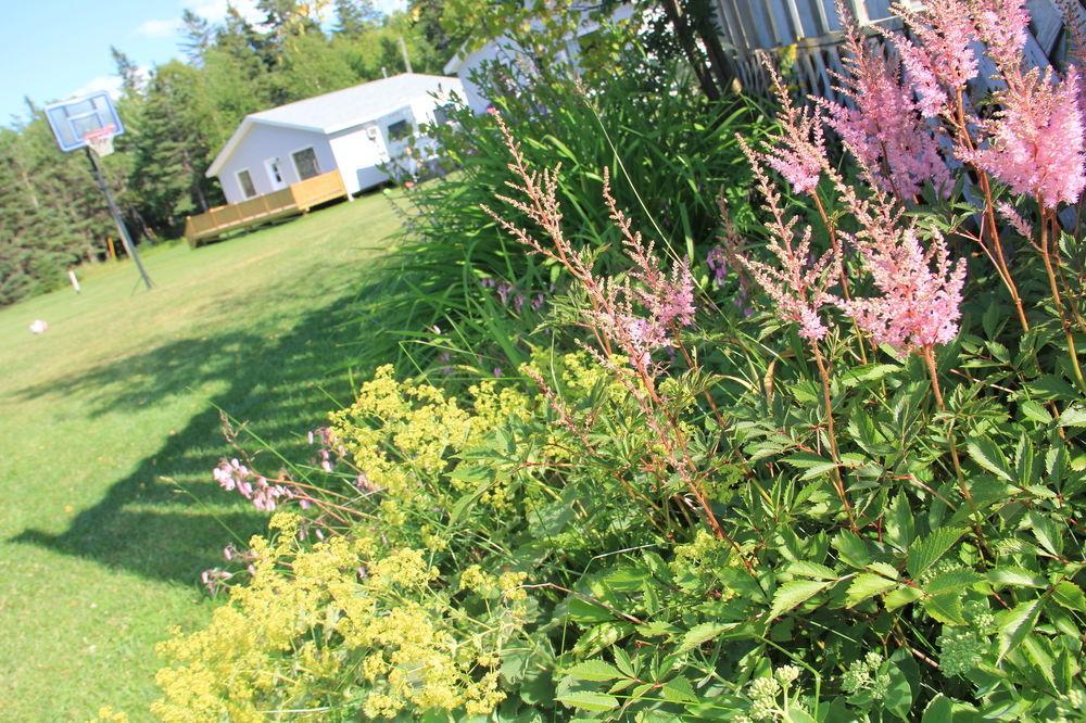 Hidden Acres Cottages Cavendish Εξωτερικό φωτογραφία